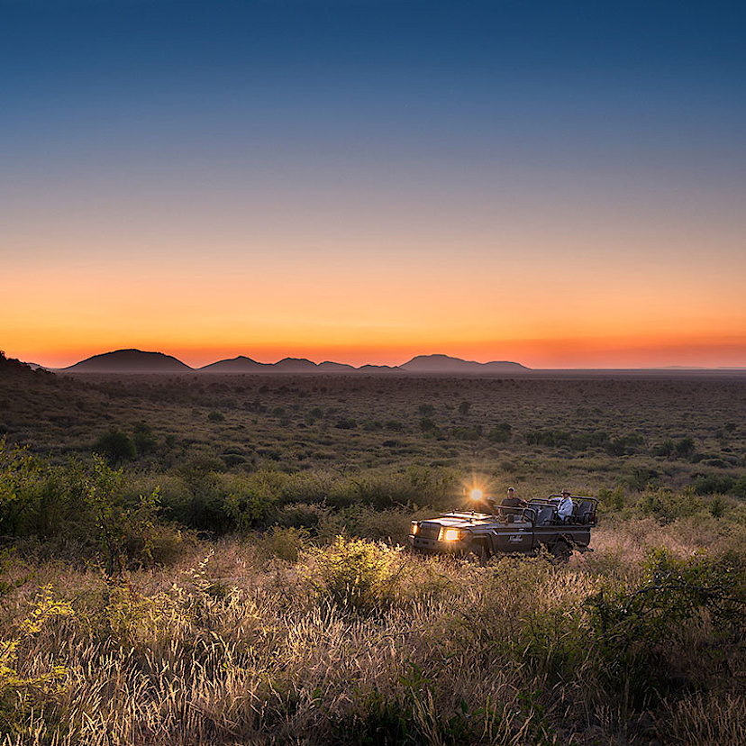 Safari Experience at Madikwe Safari Lodge