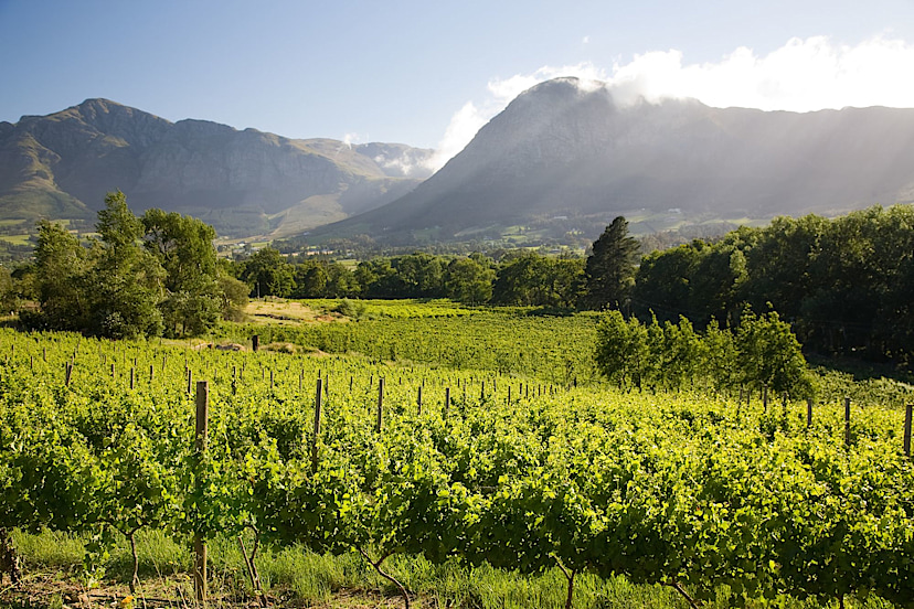Franschhoek Valley