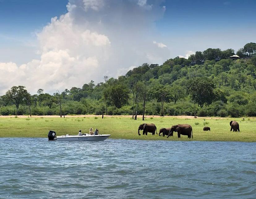 Boat Safari