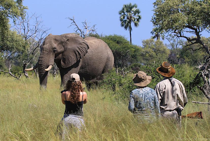 Hwange National Park