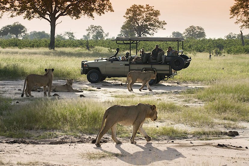 Safari at Nyamatusi