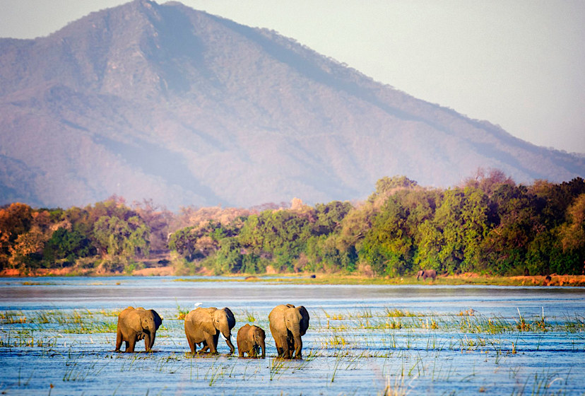 Zambezi River in Mana Pools