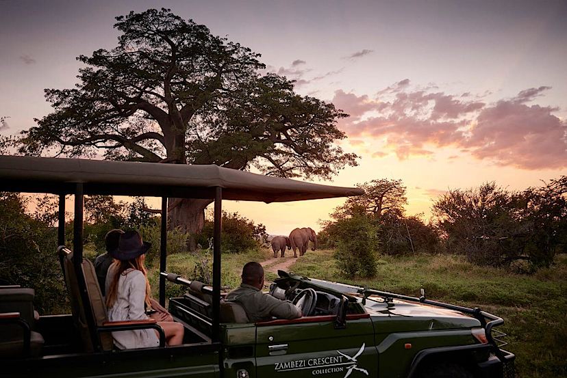 Safari Tour