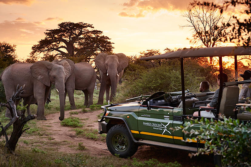 Game Drive, Zambezi National Park