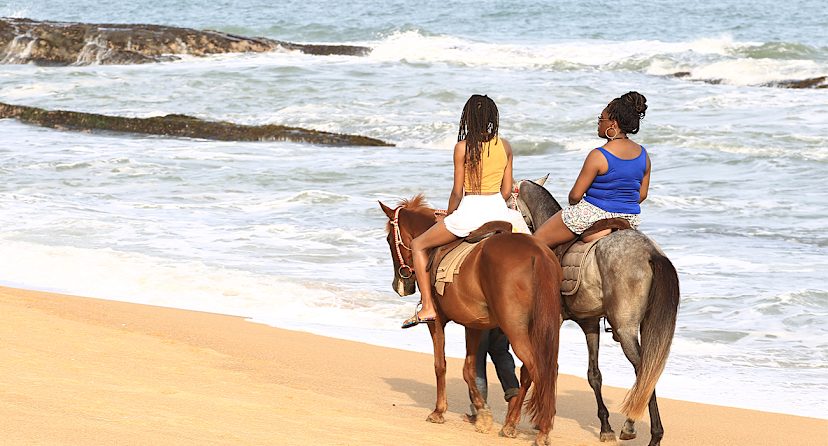 Horse Riding
