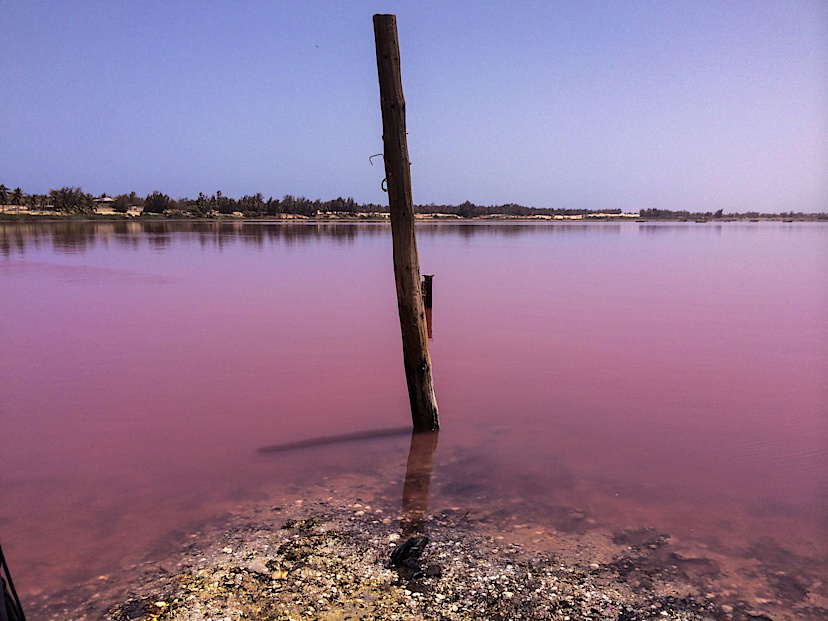 Pink Lake