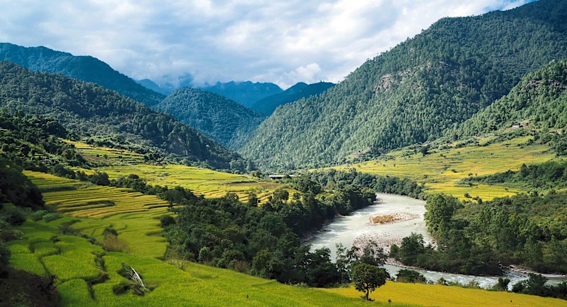 Punakha