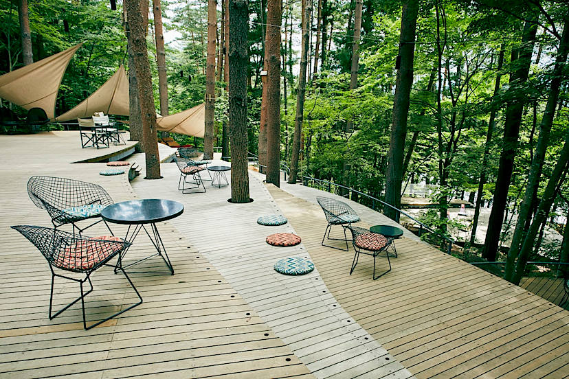 Terrace
