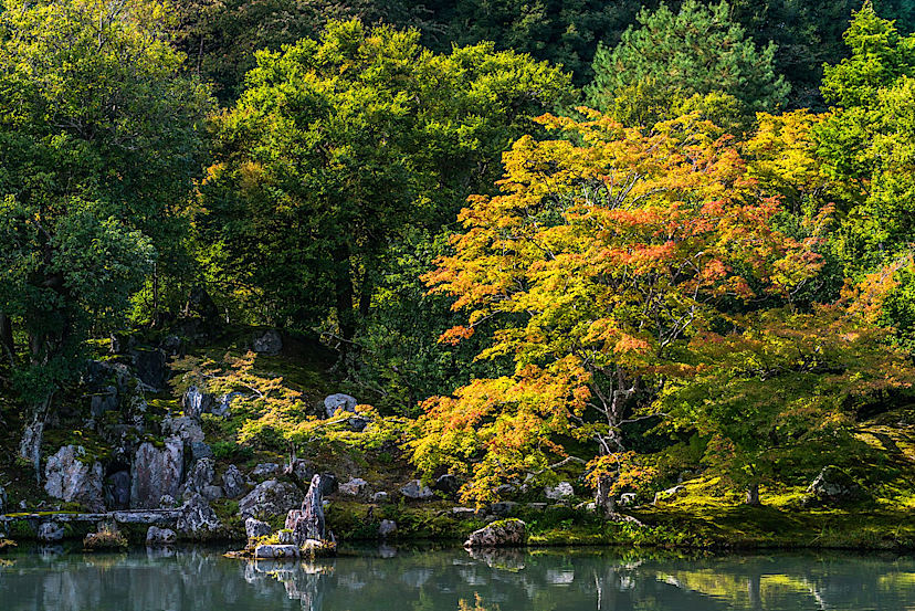 Ryoan-Ji Garden