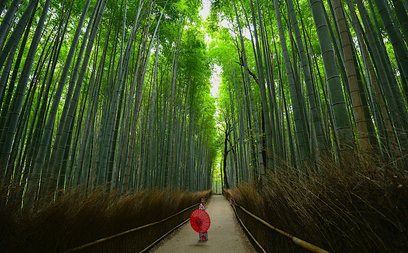 Arashiyama