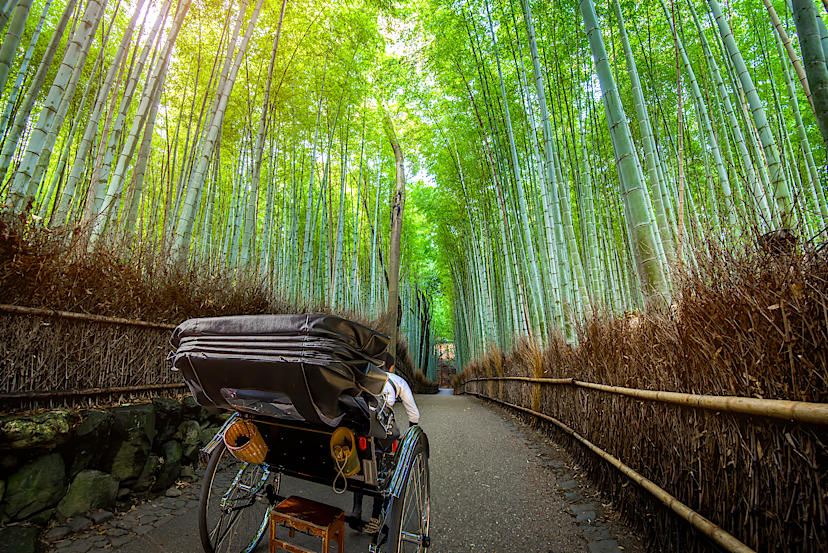 Rickshaw in Arashiyama