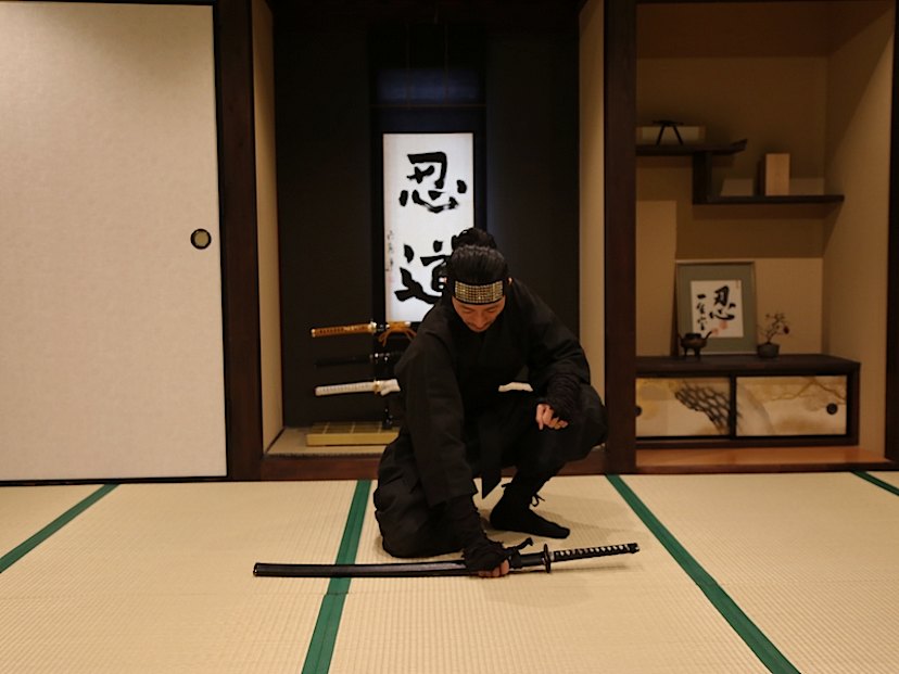 Ninja Workshop