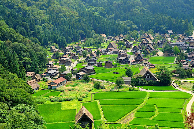 Shirakawago