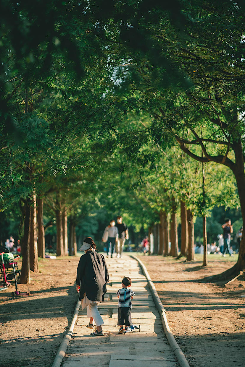 Seoul Forest