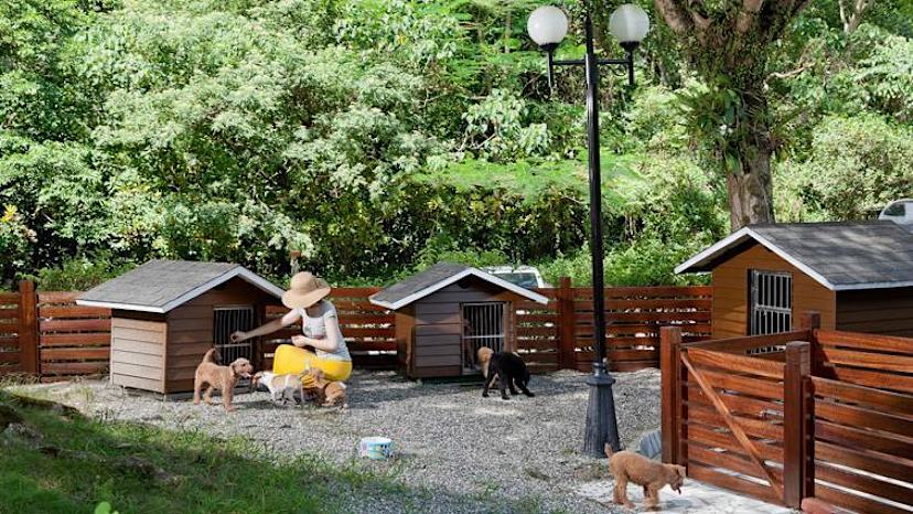 dog houses