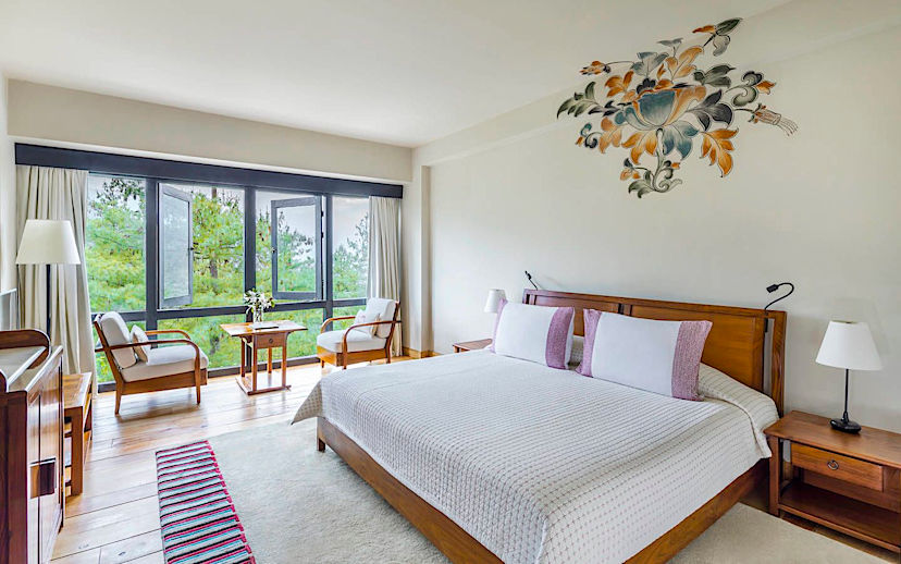 Valley View Room
