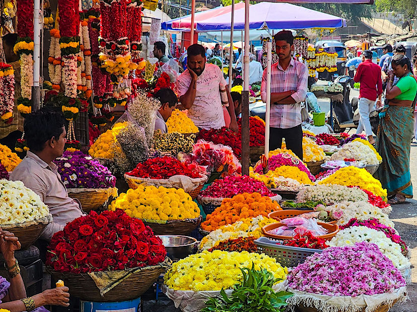 Flower Shops