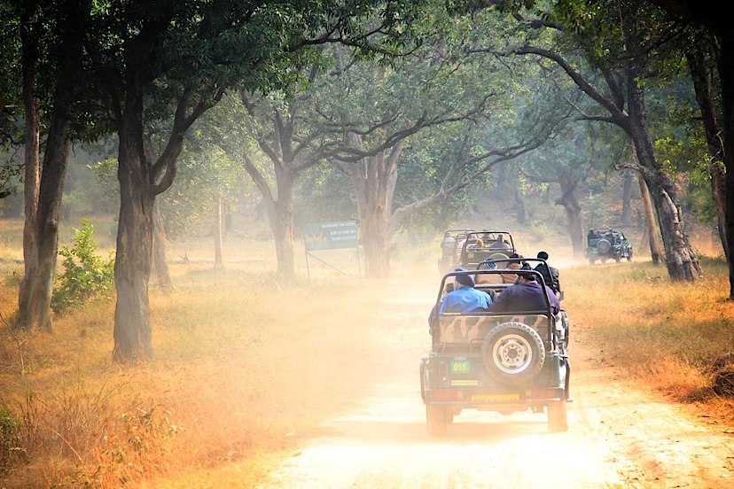 Bandhavgarh National Park Game Drive
