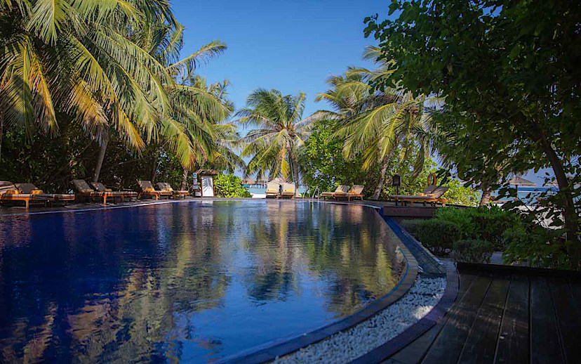 Infinity Pool