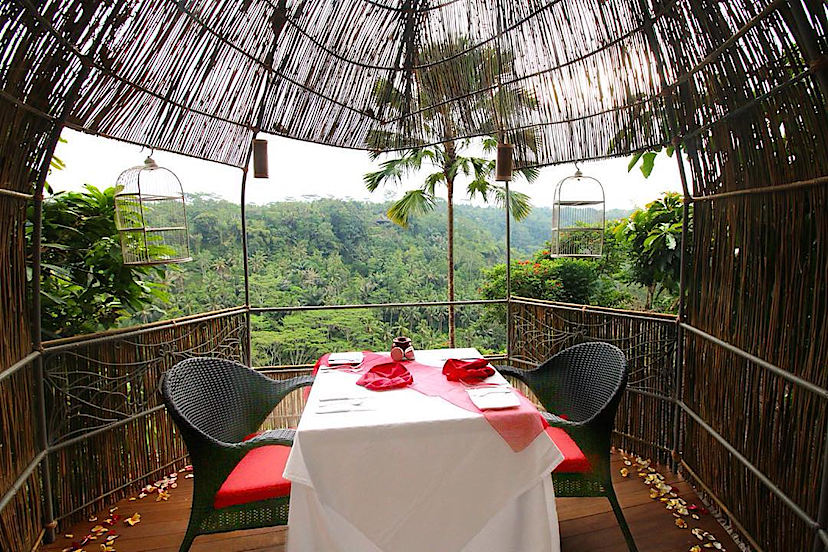 Bird Nest Dining Experience