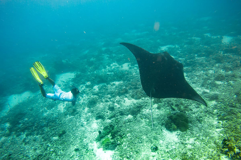 Diving Gili Banta