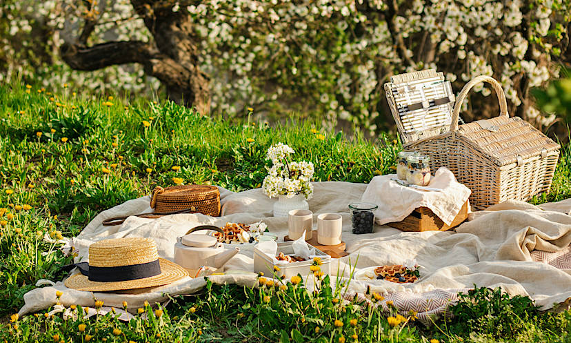 Picnic Setup