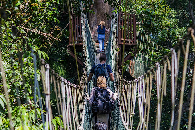 Canopy Walkway