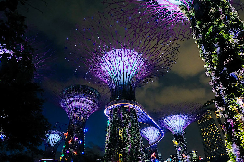Gardens By The Bay