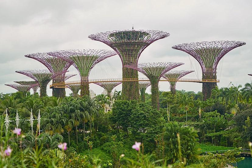 Botanical Gardens