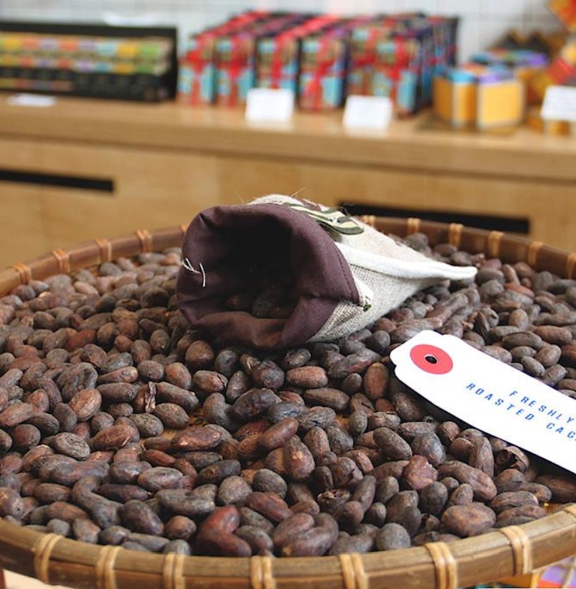 Chocolate Experience