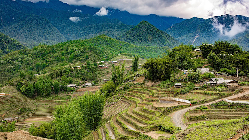 Sapa Rice Fields