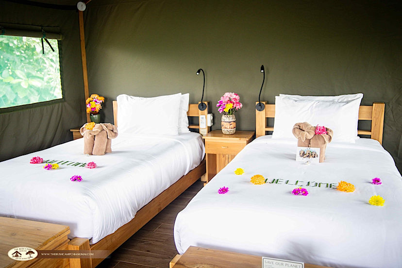 Luxury Tent