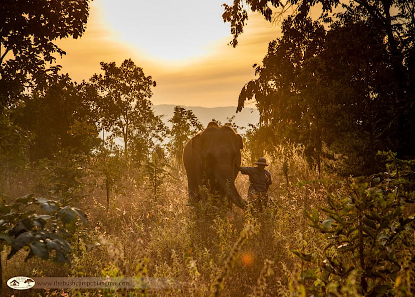 CHIANG MAI