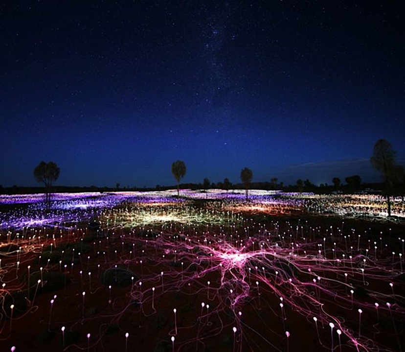 A Night At Field Of Light