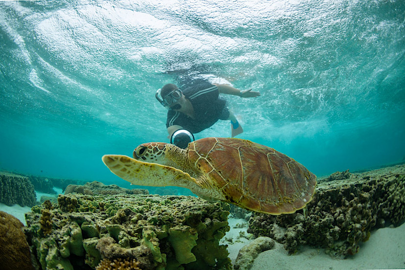 Snorkeling