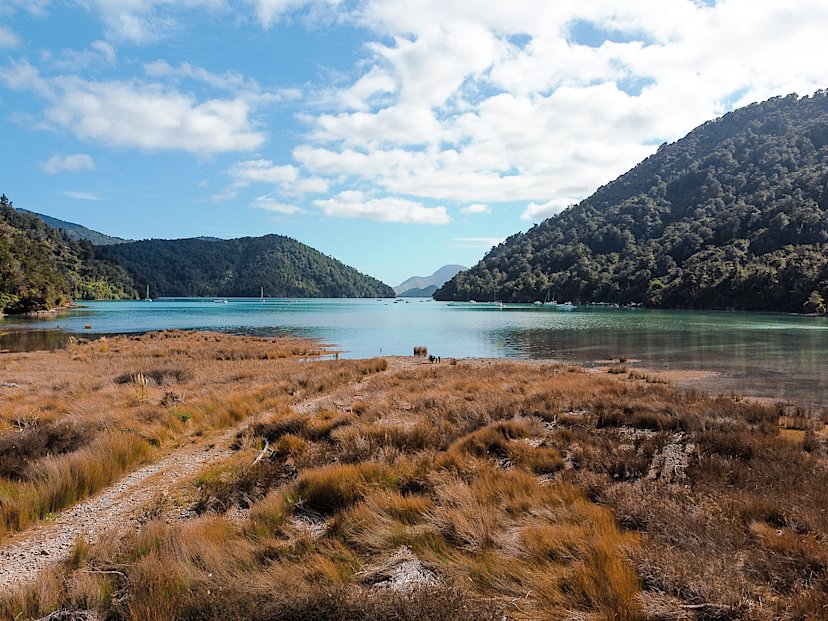 Marlborough Sounds Cruise