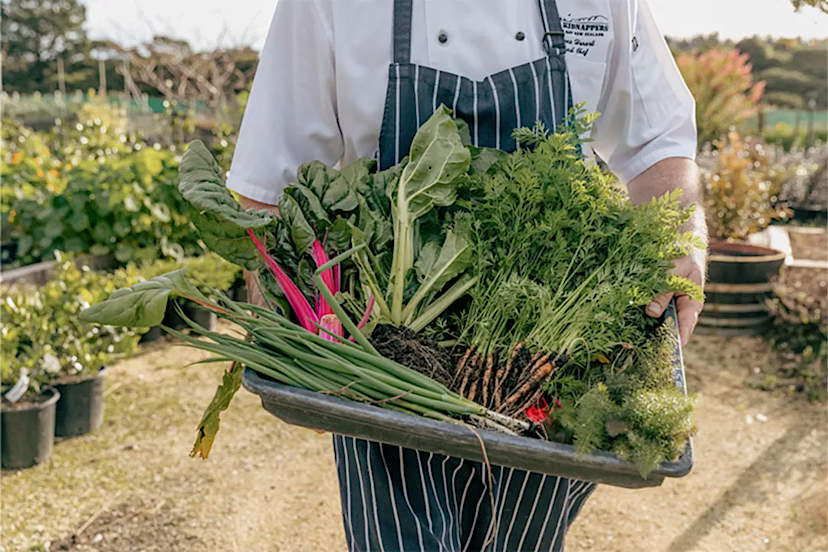 Dining At Cape Kidnappers