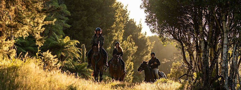 Horseback Riding