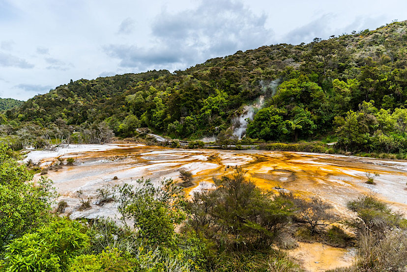 Waimangu Volcanic Valley Terrace