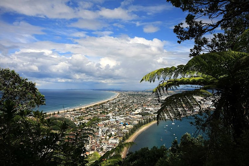 Tauranga