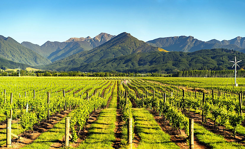 Wine Country