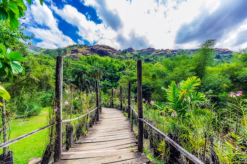 Garden of the Sleeping Giant