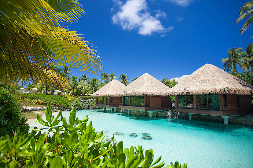 The Deep Ocean Spa