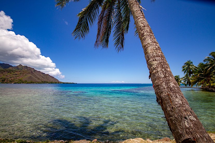 scenic view of sea against blue