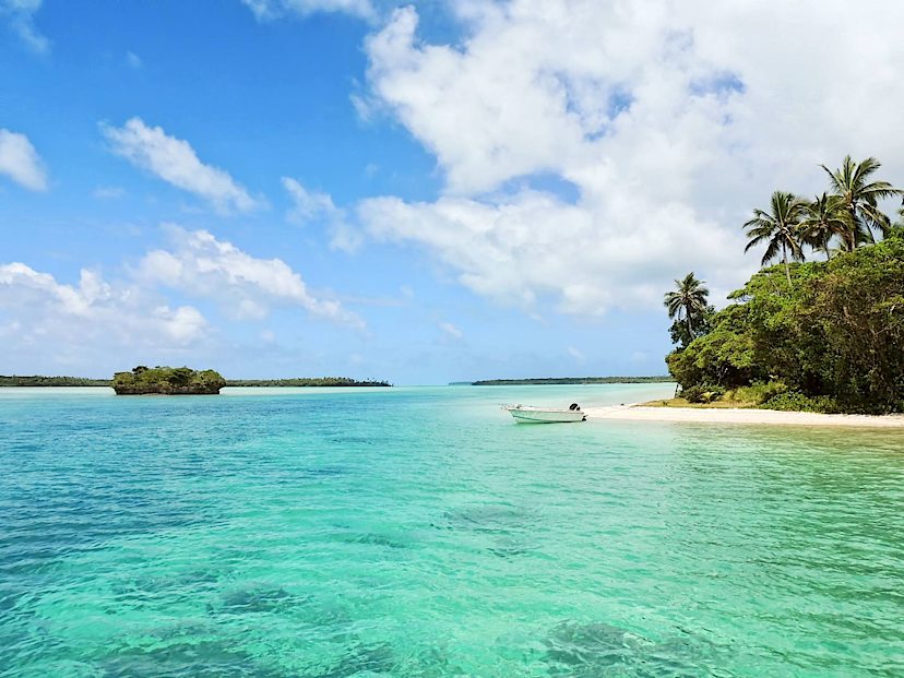 Isla Palenque
