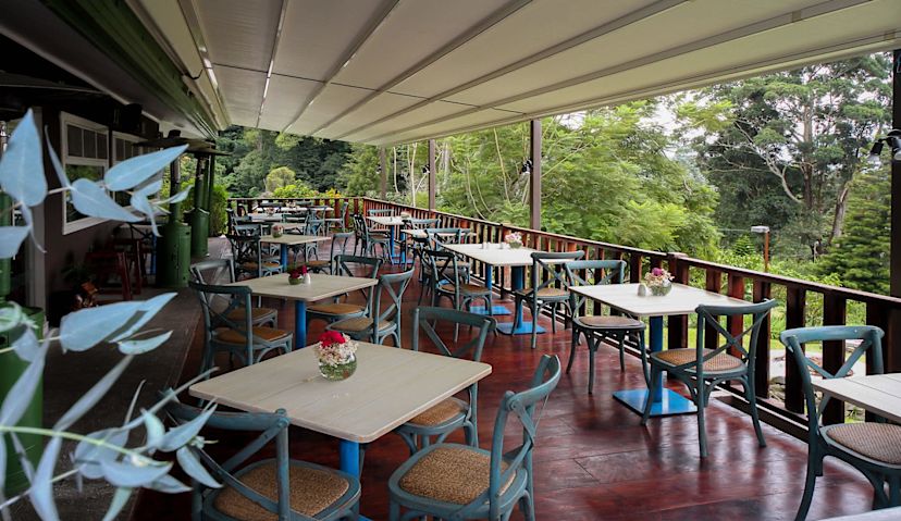Patio Dining