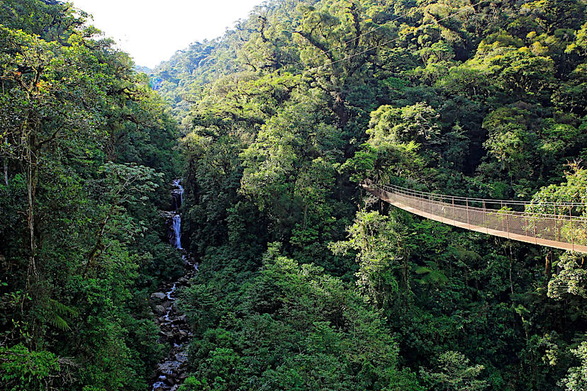 Hanging Bridges of Boquete