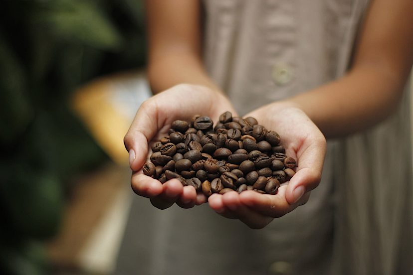 Coffee Beans