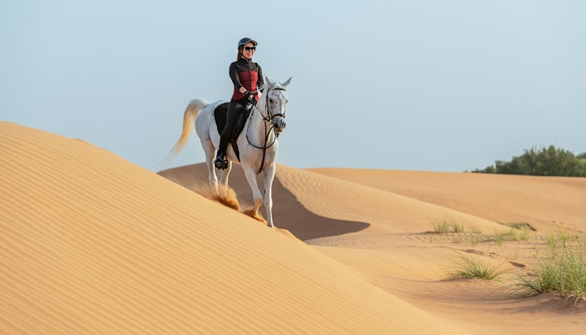 Horseback Riding, Al Maha