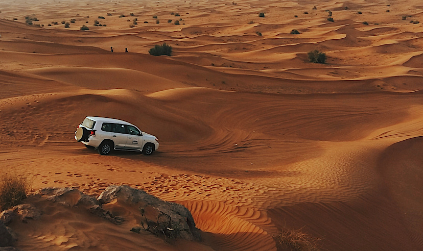 Desert Safari